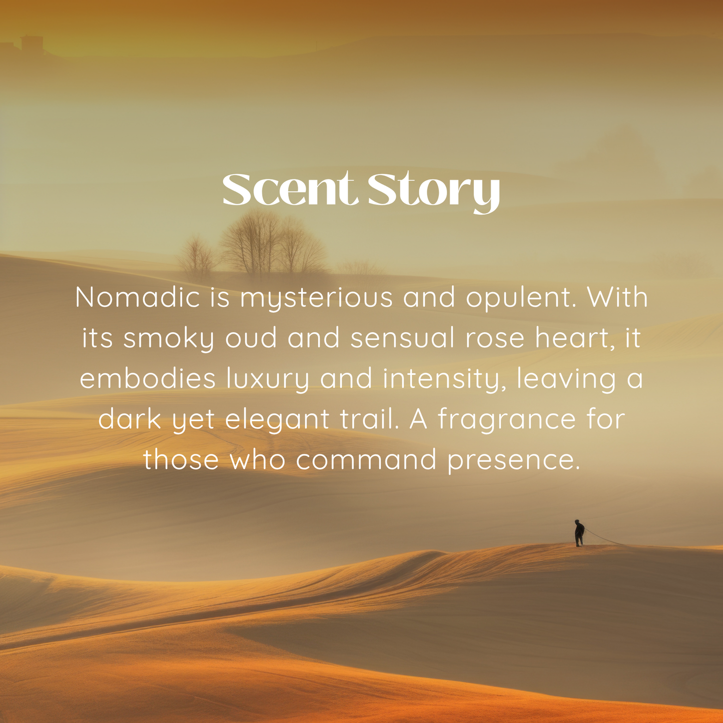 NOMADIC | EAU DE PARFUM