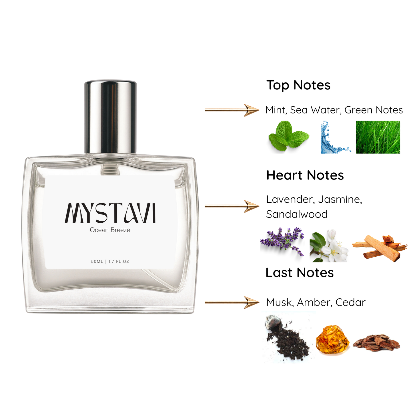 OCEAN BREEZE |  EAU DE PARFUM